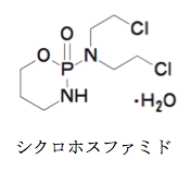解説画像